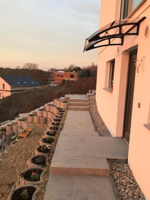 Vogesenblick Apartment Bad Bellingen Exterior foto